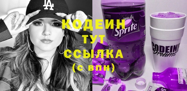 гашик Кодинск
