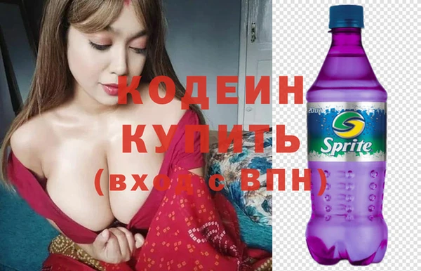 гашик Кодинск