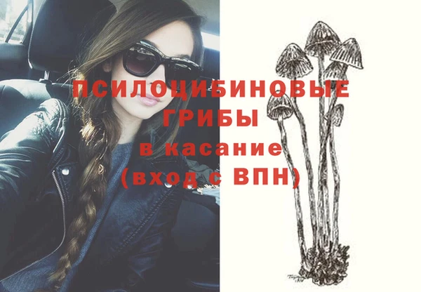 СК Киреевск