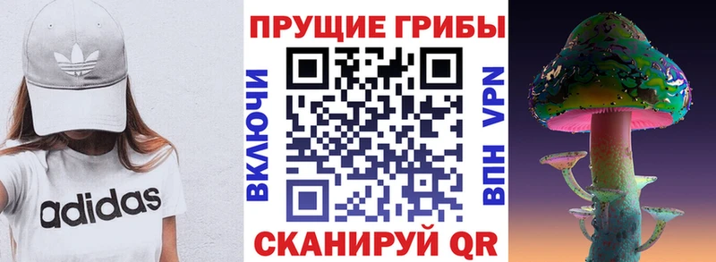 Галлюциногенные грибы Magic Shrooms  купить  цена  Иваново 