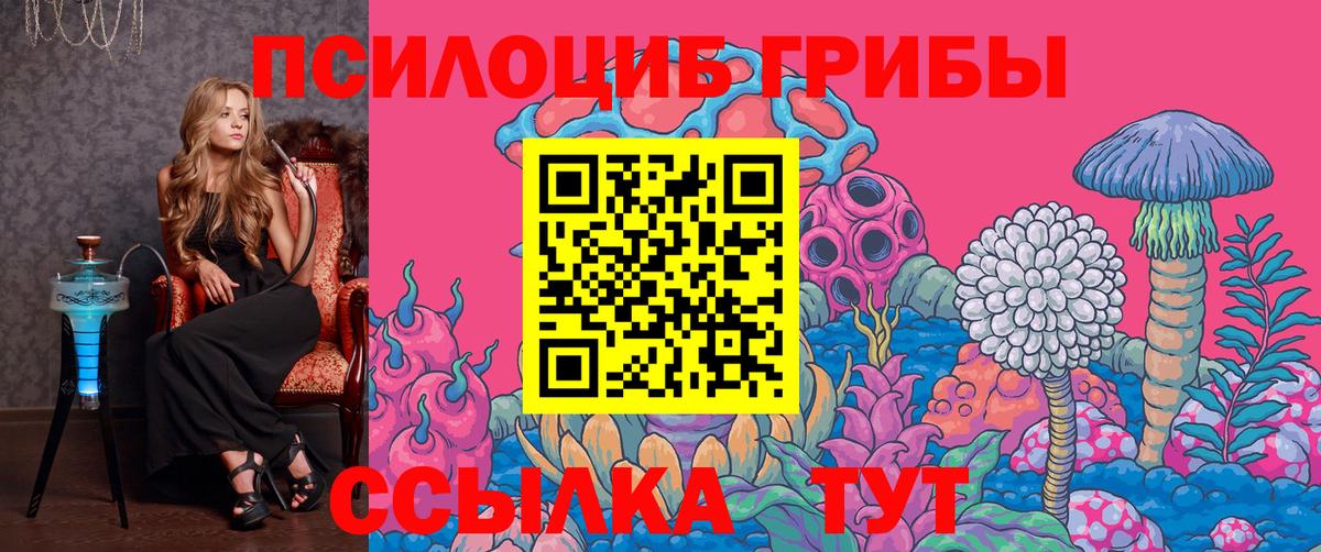 Псилоцибиновые грибы прущие грибы  Иваново 