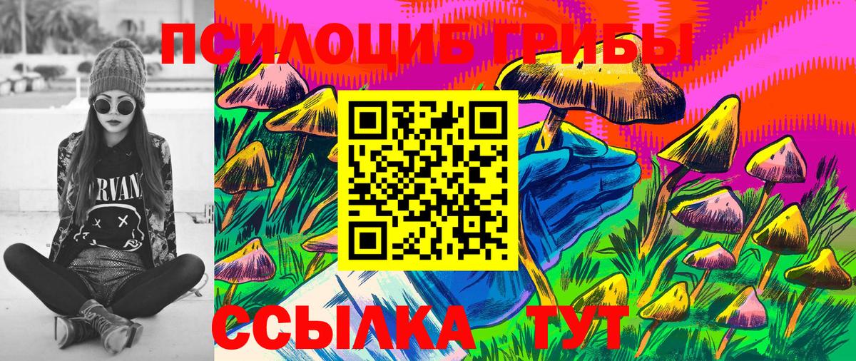 Галлюциногенные грибы Psilocybine cubensis  Вход с VPN  Иваново 