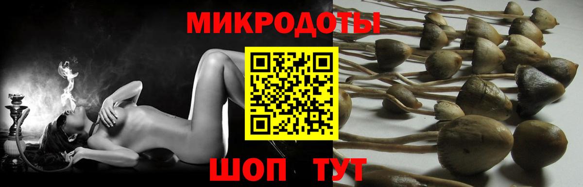 Псилоцибиновые грибы MAGIC MUSHROOMS Иваново